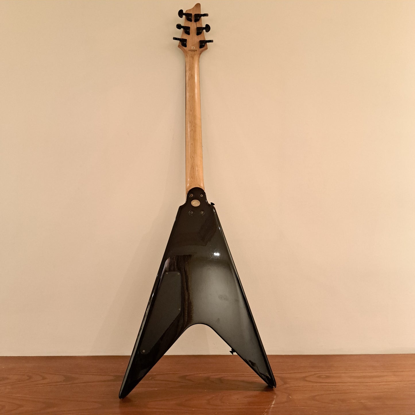 Washburn V class WV16GBG
