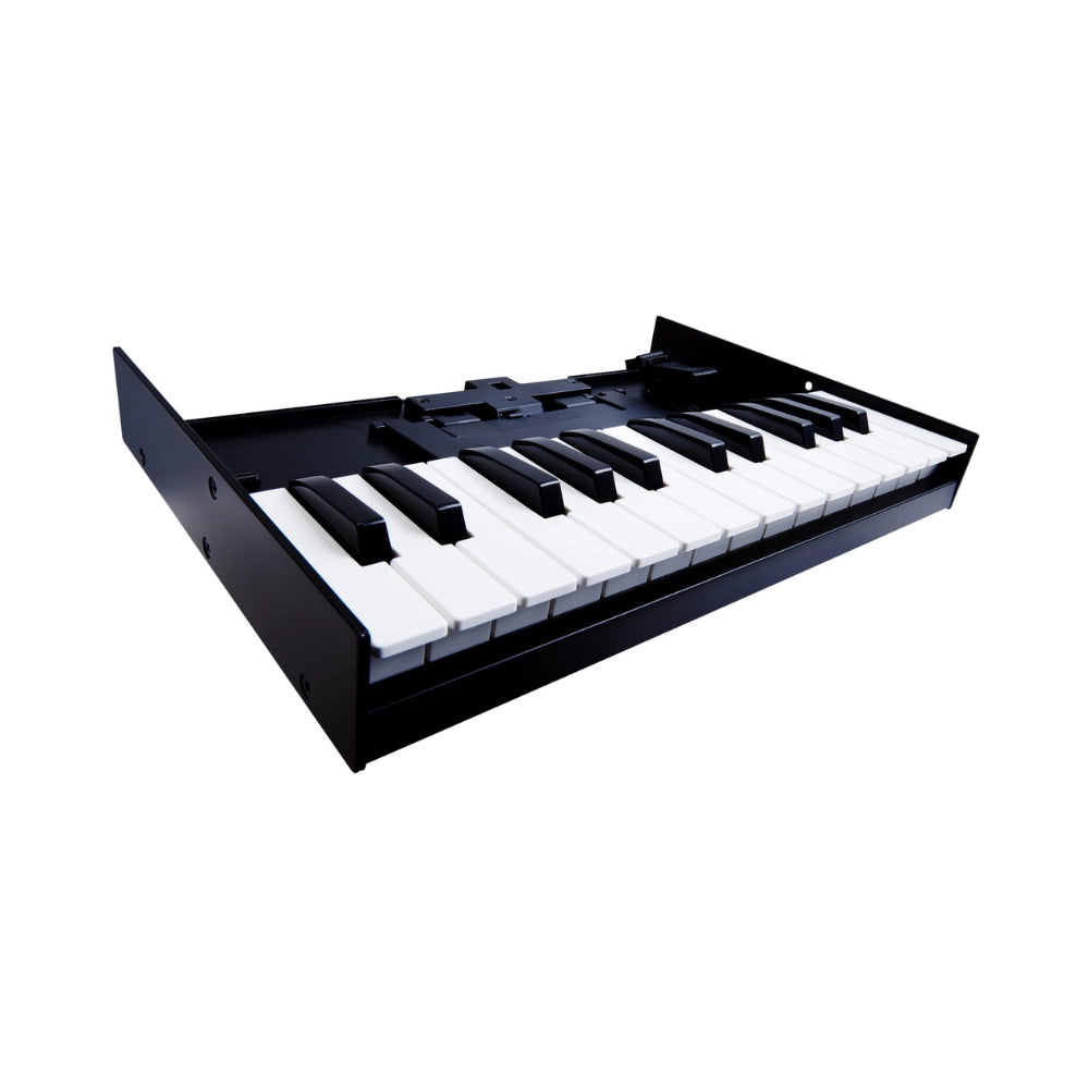 Roland K-25M Boutique Keyboard