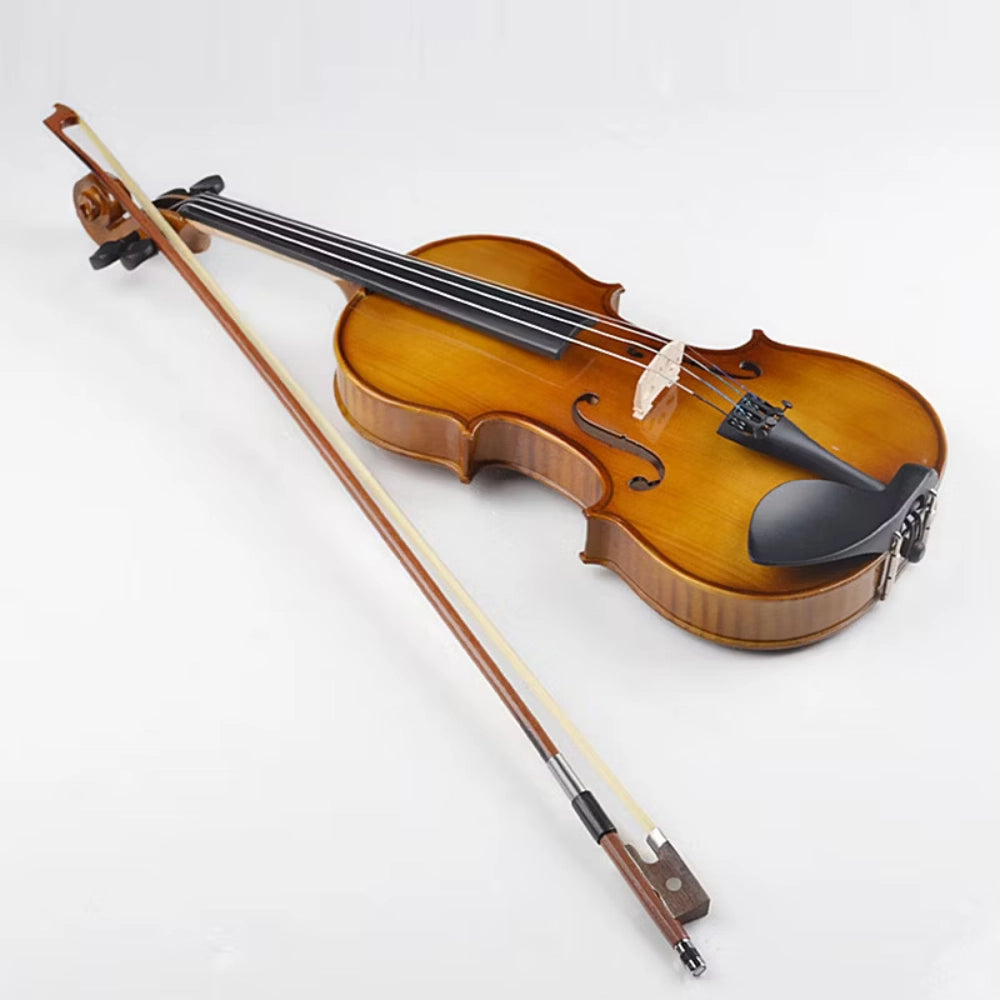 Deviser V-80 4/4 Violin