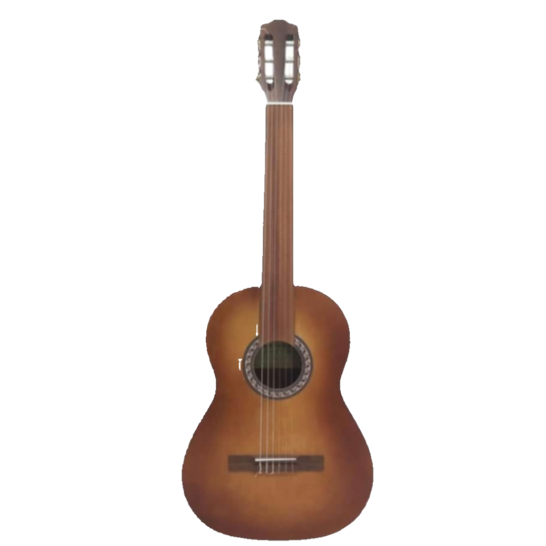 Demetrias M10 Fretless Classical Guitar