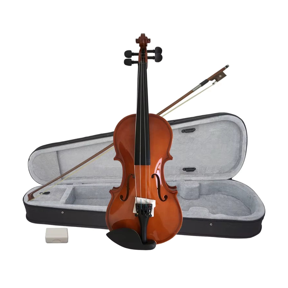 Aiersi SGV015G Student Violin 1/2