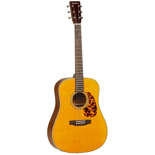 tanglewood tw40 d an e dreadnought electro acoustic guitar shop store beirut lebanon