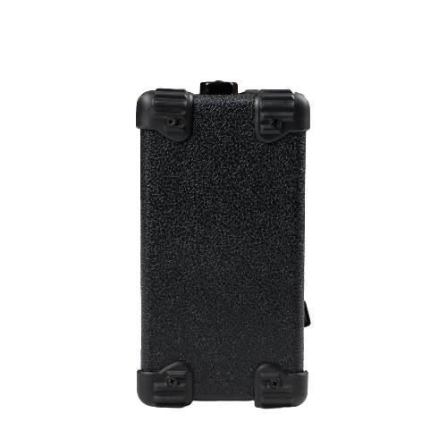 Deviser TG-10 Electric Guitar Amplifier