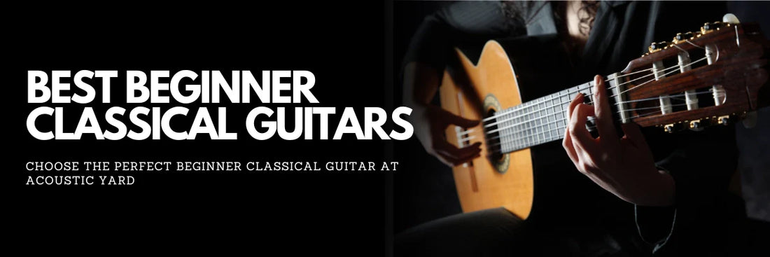 Best Beginner Classical Guitars in Lebanon