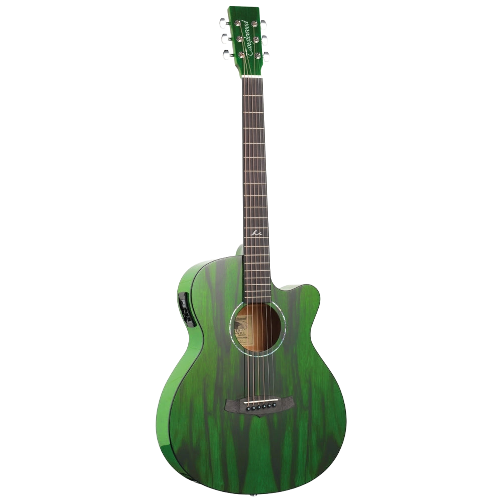 tanglewood super folk electro acoustic guitar shop store beirut lebanone