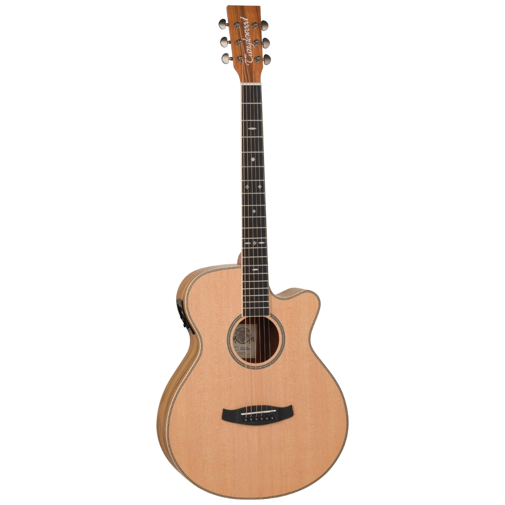 tanglewood super folk electro acoustic guitar shop store beirut lebanon