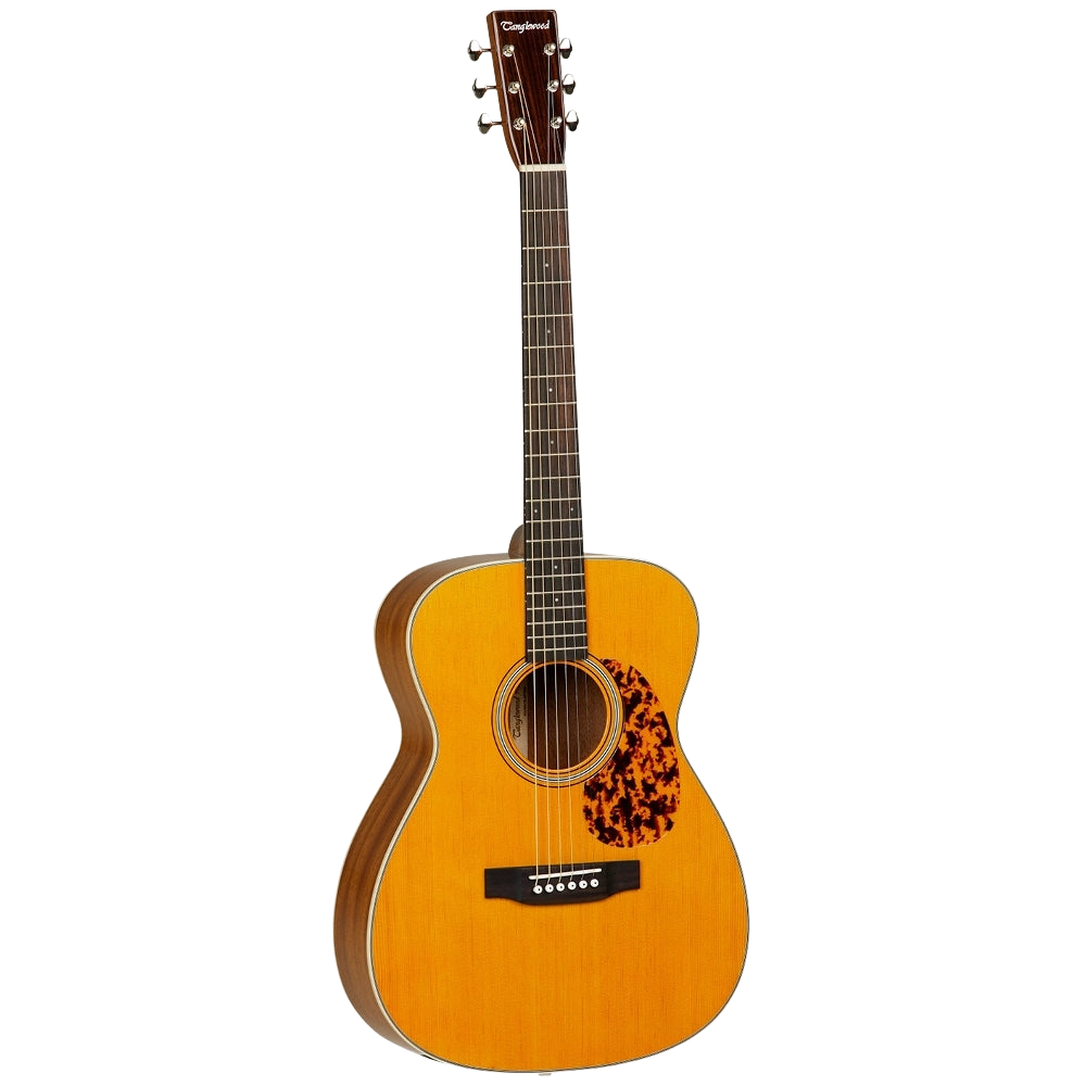 tanglewood orchestra electro acoustic guitar shop store beirut lebanon