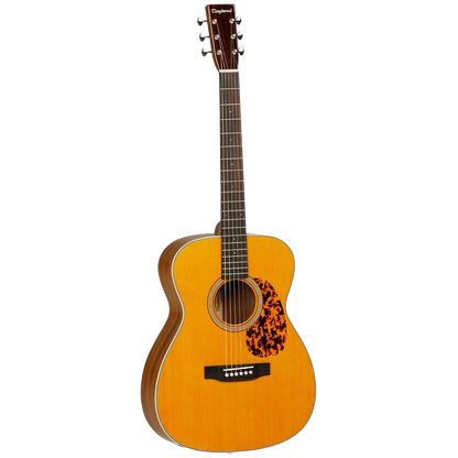 tanglewood orchestra electro acoustic guitar shop store beirut lebanon