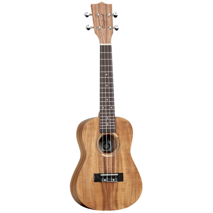 concert ukulele tanglewood twt8 beirut lebanon shop store