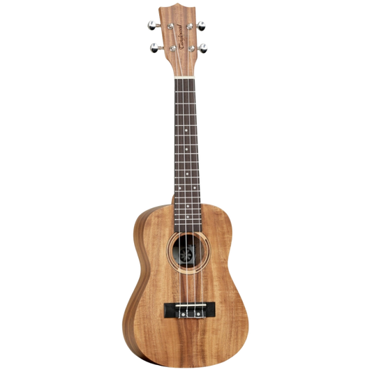 concert ukulele tanglewood twt8 beirut lebanon shop store