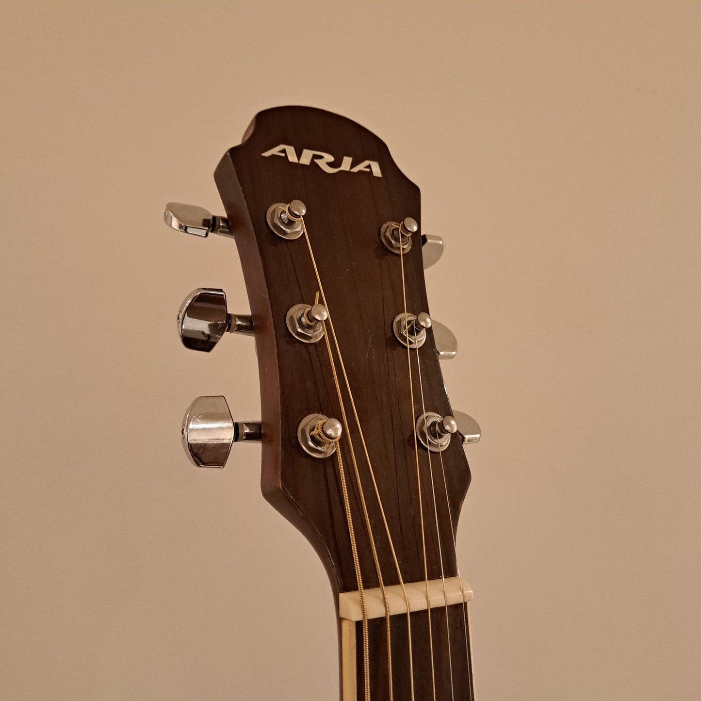 Aria AW35-N Acoustic Guitar