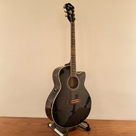 Ibanez AEL20L Electro Acoustic guitar