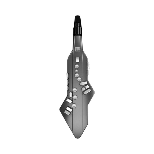 Roland Aerophone GO Digital Wind Instrument