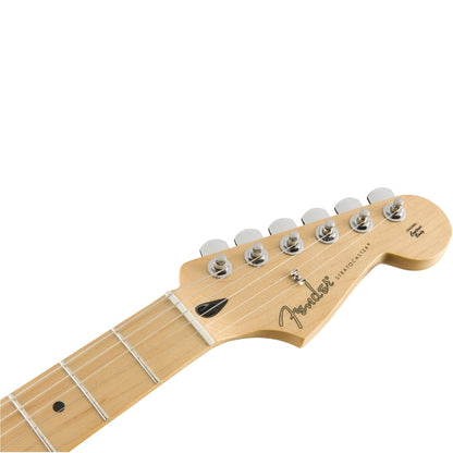 Fender Player Stratocaster Maple Fingerboard