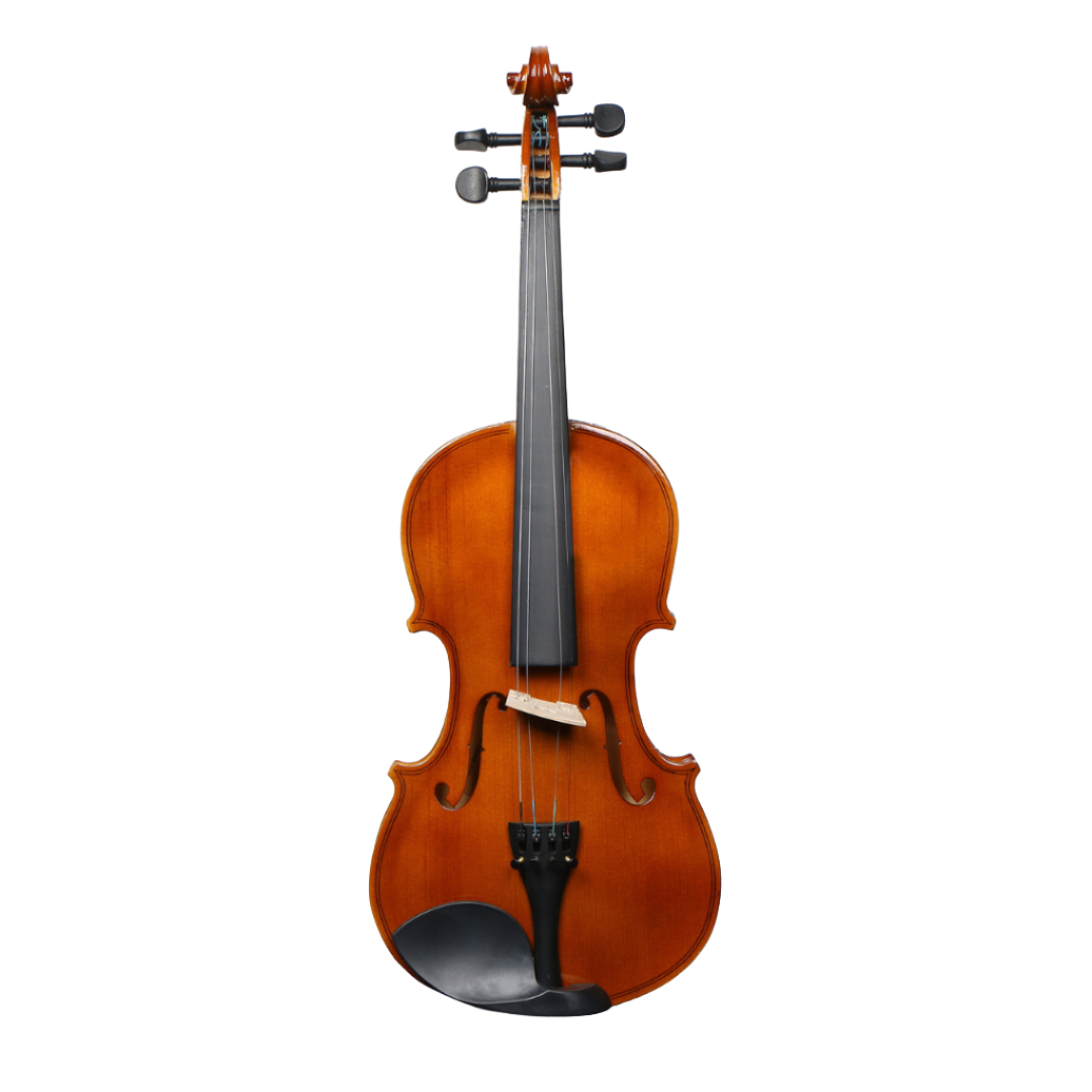 Deviser V-20-4/4 Violin