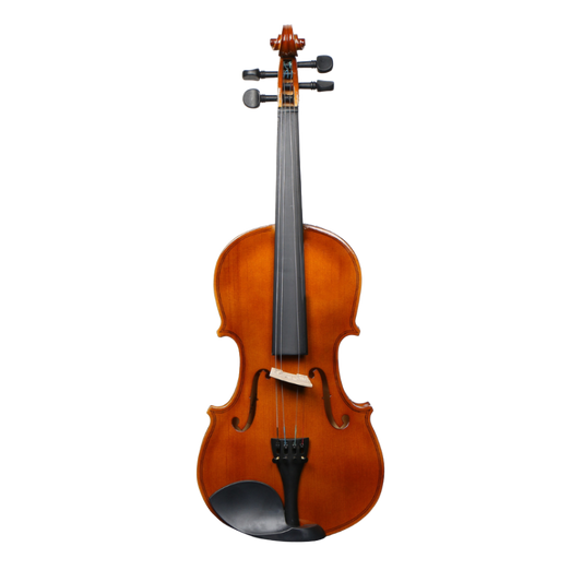 Deviser V-20-4/4 Violin