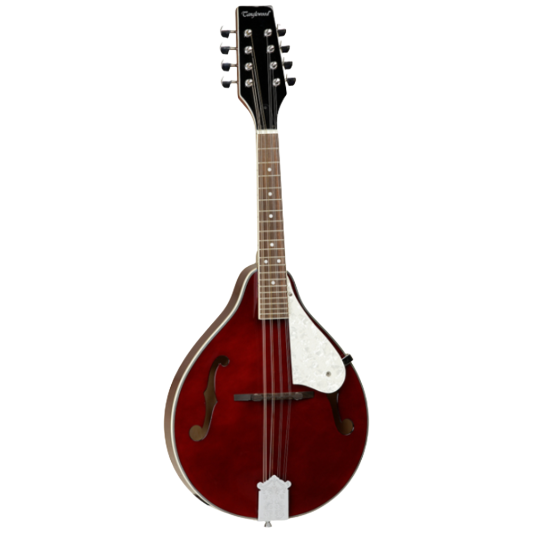 Tanglewood TWM-T-WR Mandolin