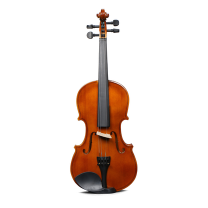 Deviser V-20-4/4 Violin