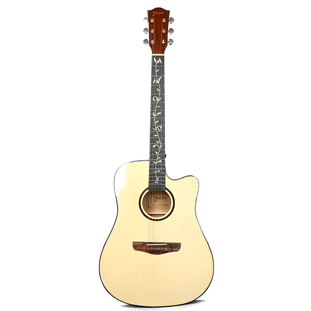 Deviser L820-B Acoustic Guitar