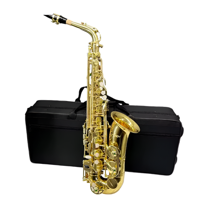 Aiersi AS-201 Alto Saxophone