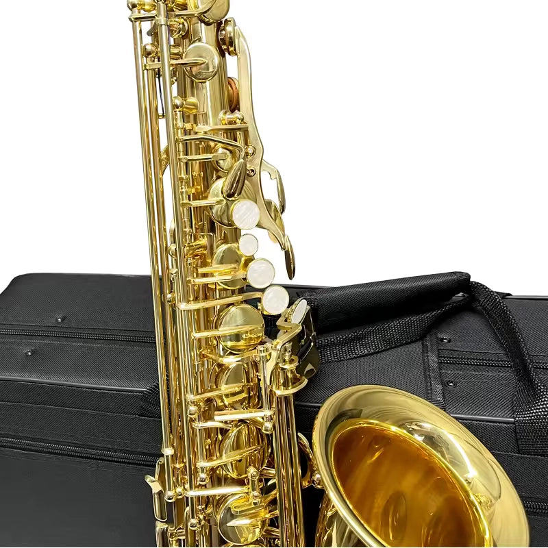 Aiersi AS-201 Alto Saxophone