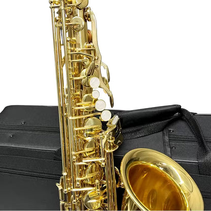 Aiersi AS-201 Alto Saxophone