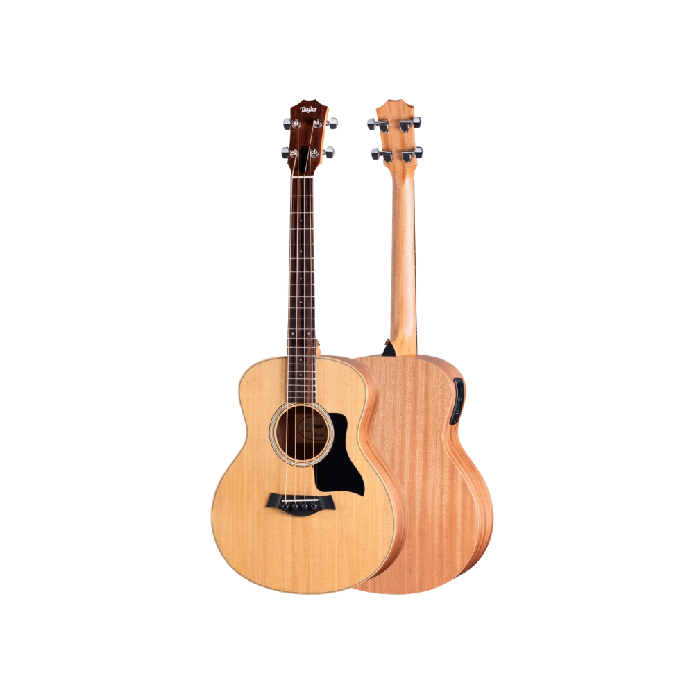 Taylor GS Mini-e Bass