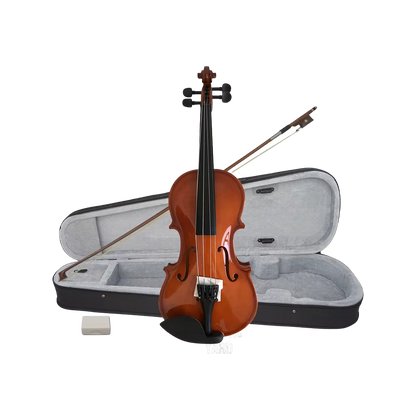 Aiersi SGV015G Student Violin 1/2