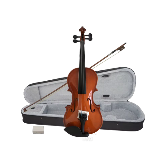 Aiersi SGV015G Student Violin 1/2