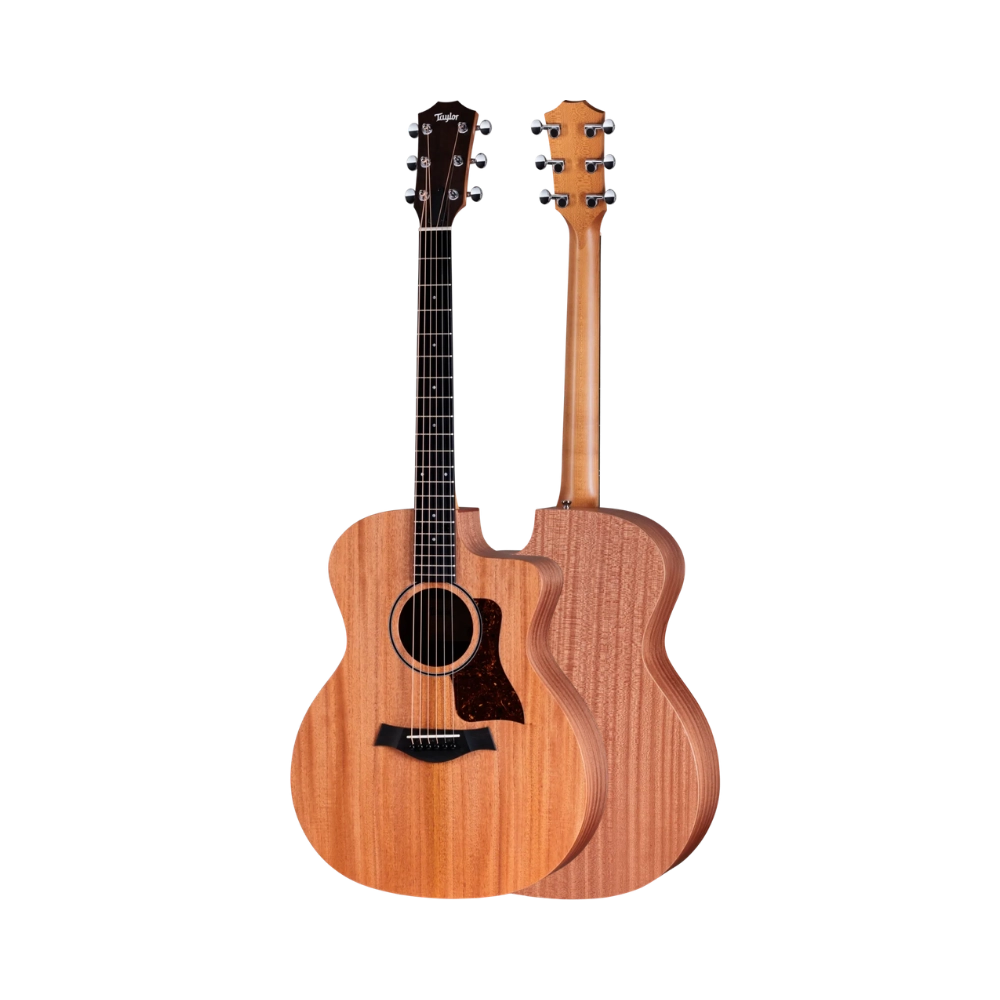 Taylor 24ce Acoustic-Electric Guitar