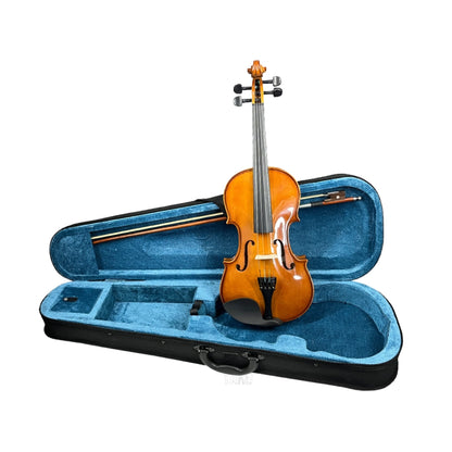 Aiersi GVT010D Solid Violin