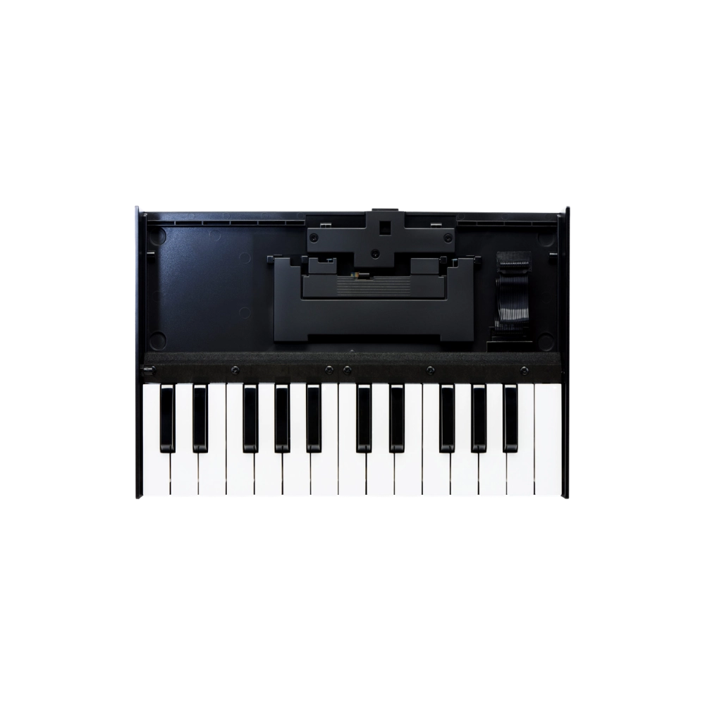 Roland K-25M Boutique Keyboard