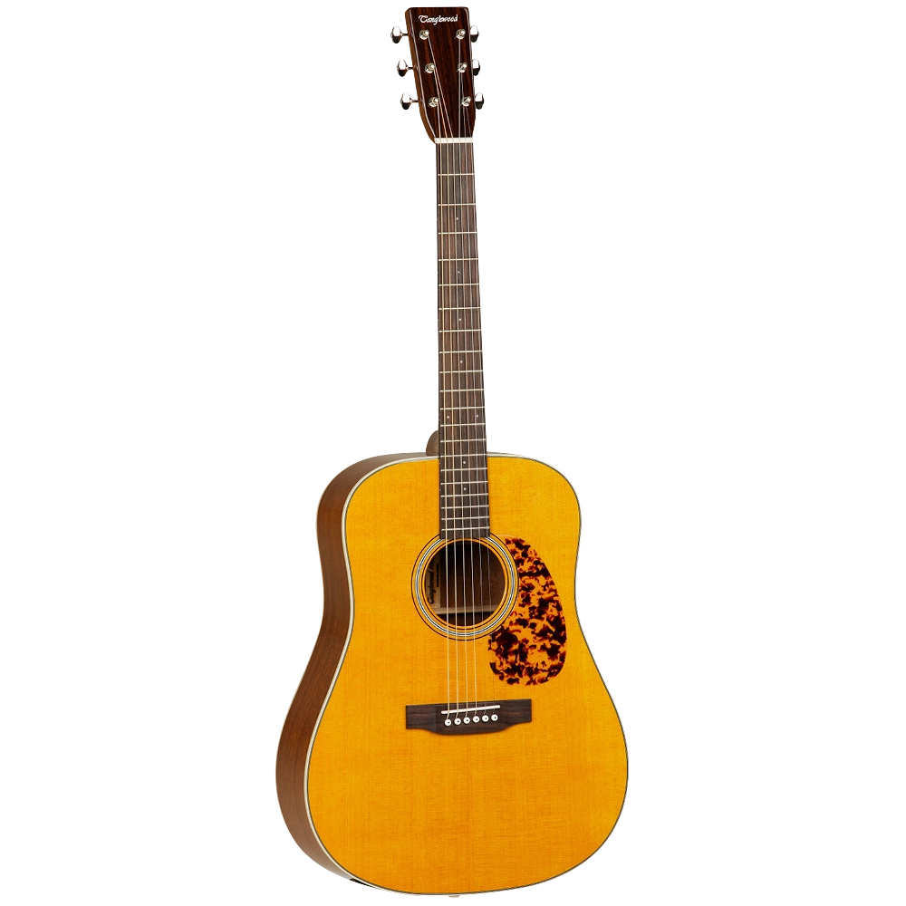 tanglewood tw40 d an e dreadnought electro acoustic guitar shop store beirut lebanon