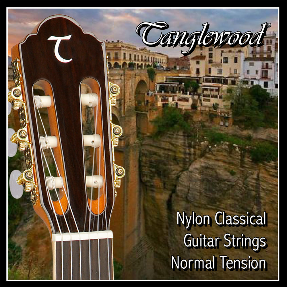 Tanglewood TWGS C Classical Nylon Guitar String