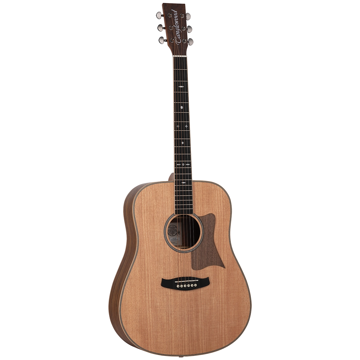 tanglewood dreadnought acoustic guitar shop store beirut lebanon