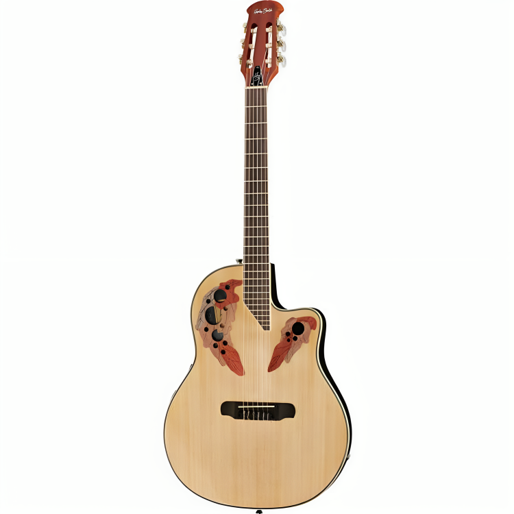 Aiersi Ovation Acoustic Guitar