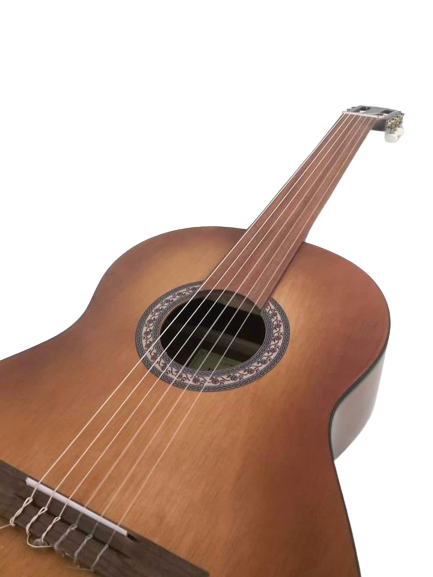 Demetrias M10 Fretless Classical Guitar