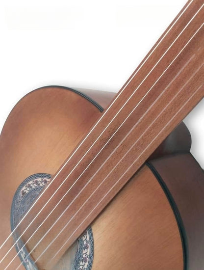 Demetrias M10 Fretless Classical Guitar