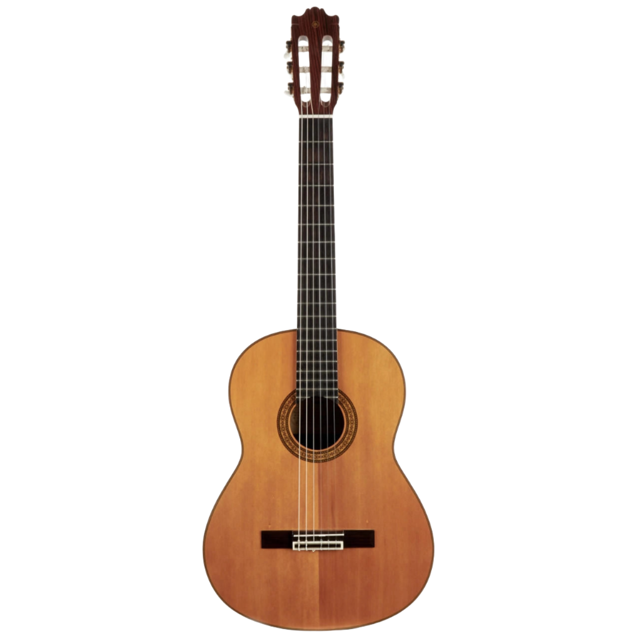 yamaha classic classical guitar shop store beirut lebanon