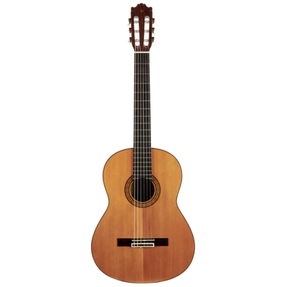 yamaha classic classical guitar shop store beirut lebanon