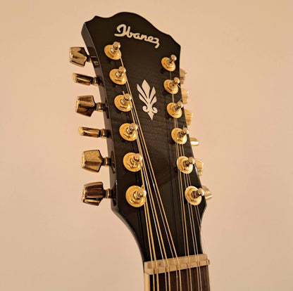 Ibanez AEL2012ETKS (12 Strings, Electro) Acoustic Guitar